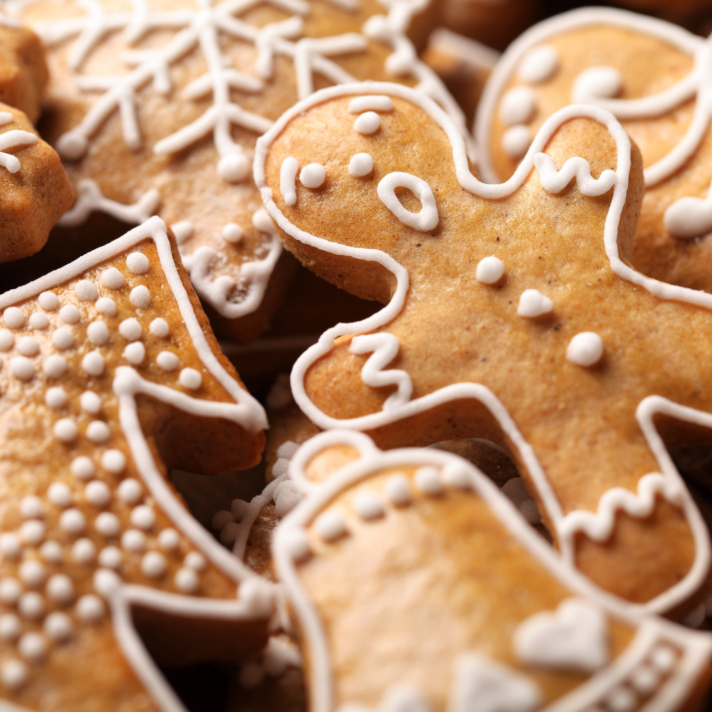 Gingerbread - Christmas Collection